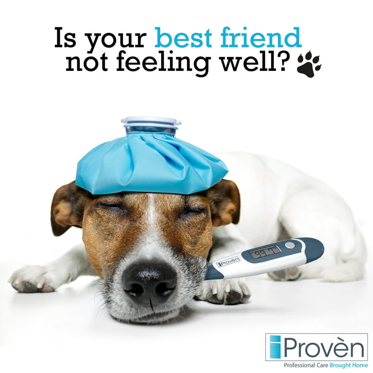 What Kind Of Thermometer Do I Use For My Dog