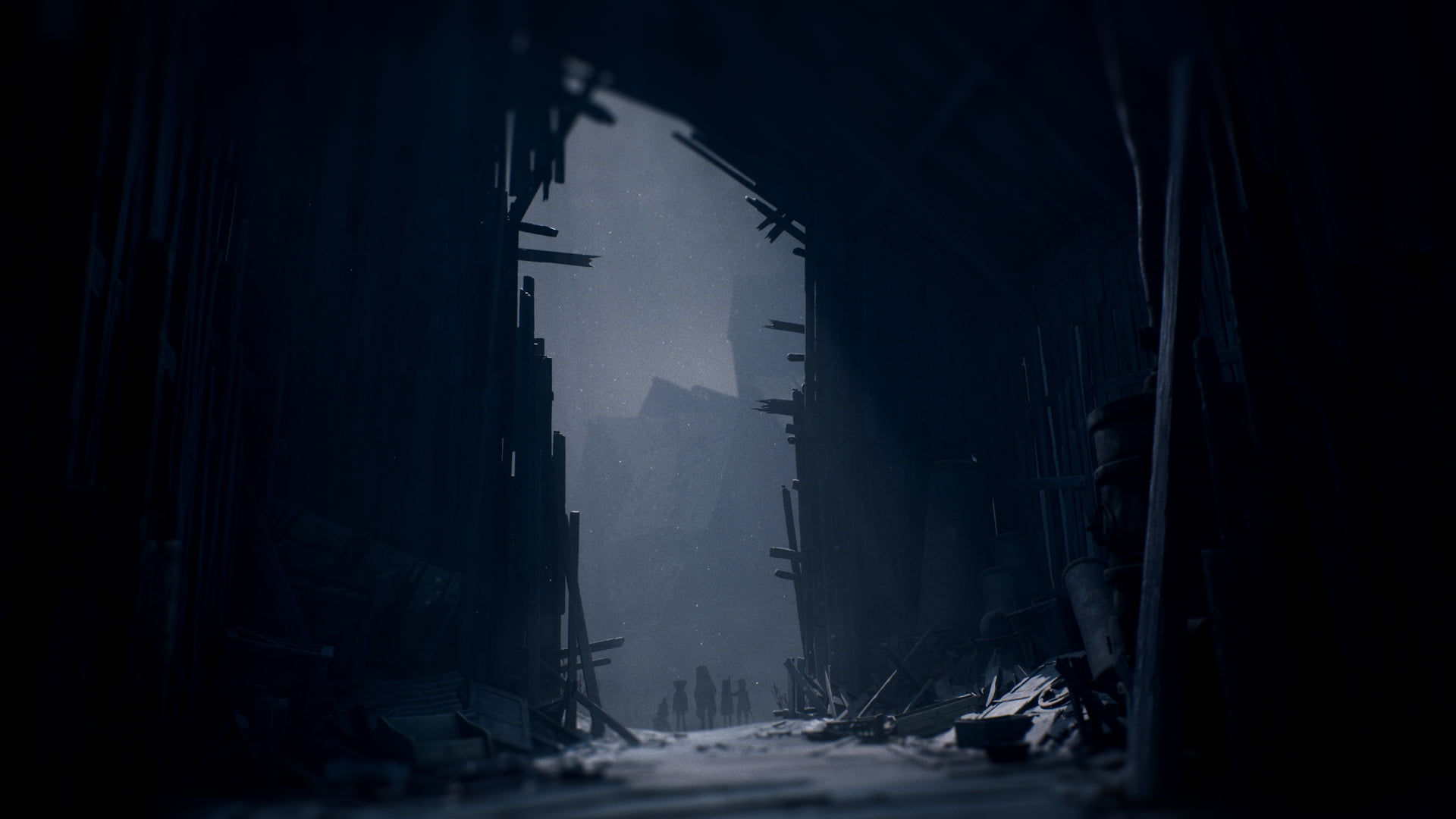 REANIMAL - Collector's Edition (Nintendo Switch 2)