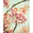 thumbnail image 3 of Suchocki, Irene 12x14 Black Modern Framed Museum Art Print Titled - Waiting For Spring, 3 of 5