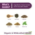 thumbnail image 4 of Amber NaturalZ TYD Thyroid Balance for Pets| Herbal Pet Supplement for Thyroid Health 1oz, 4 of 7