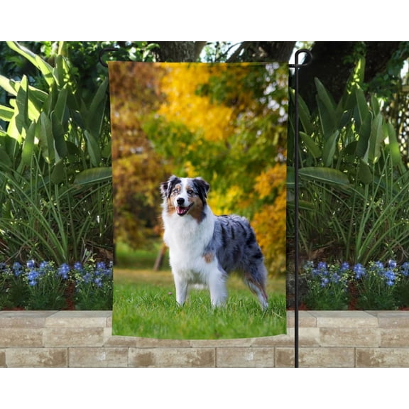 Australian Shepherd Garden Flag