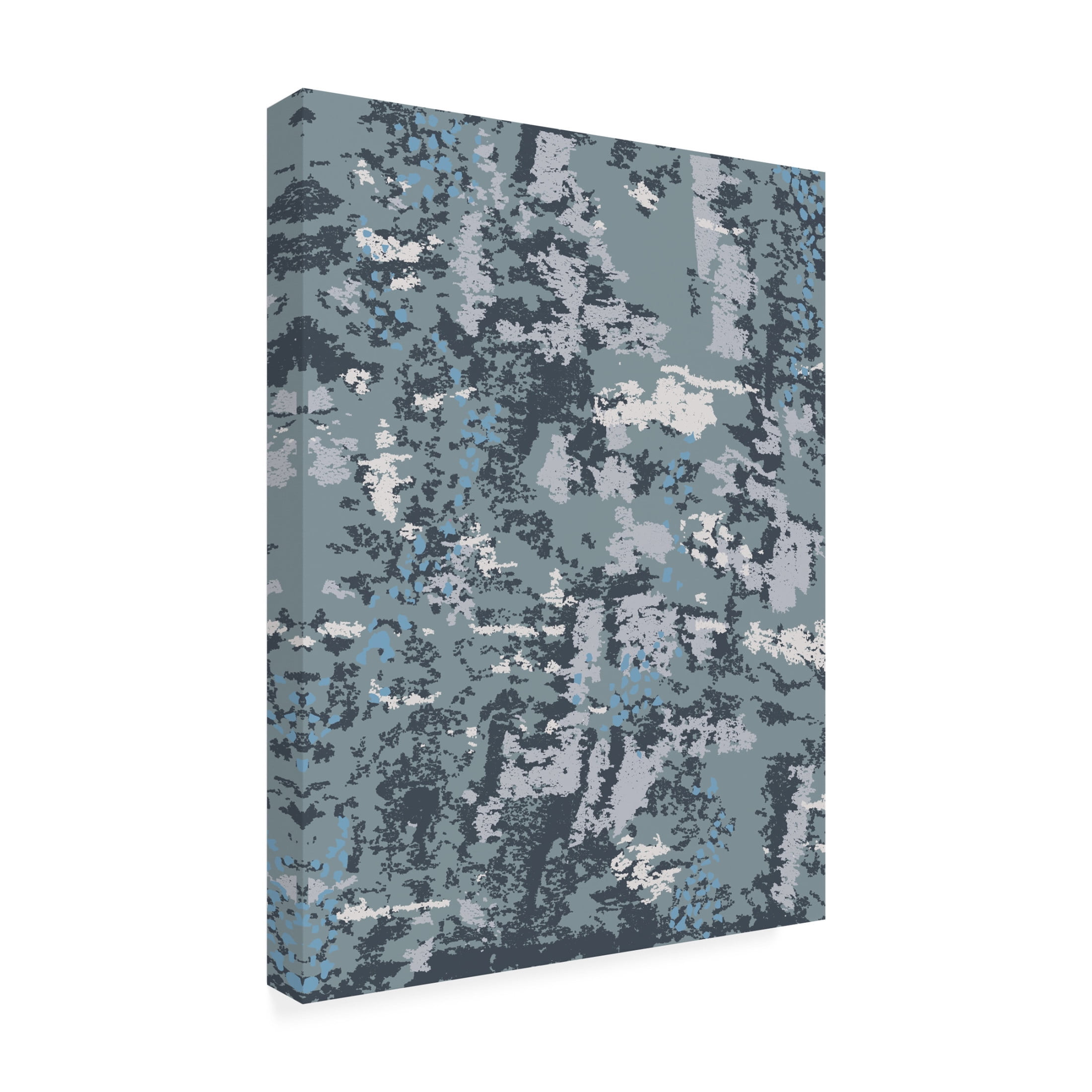 Canvas Wall Art - Maliq 'Topology 2-2' Wall Art for Living Room, Bedroom, or Office Décor by Trademark Fine Art - 14 x 19 Inches