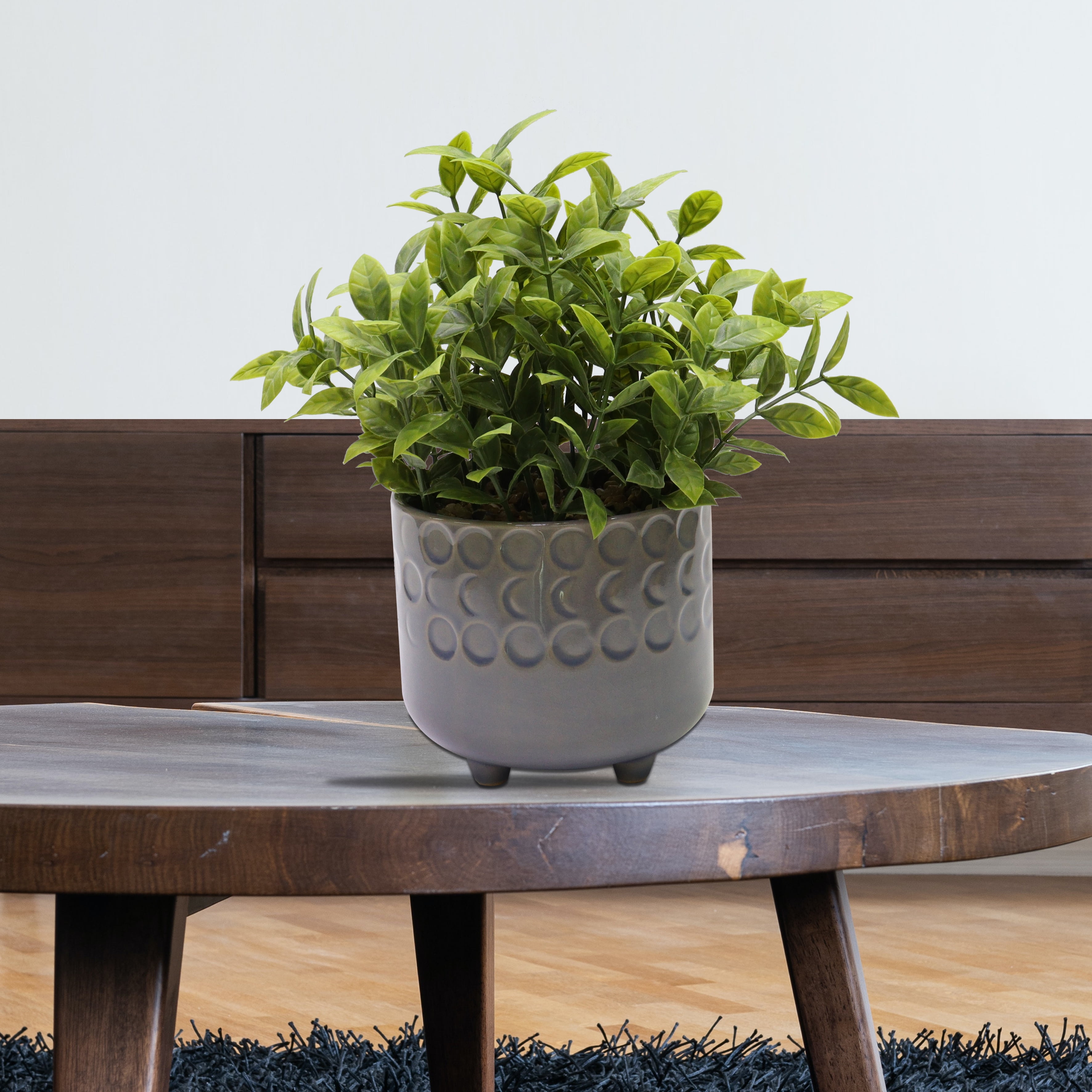 Nature's Mark 9”H Artificial Jade Plant in Gray Ceramic Pot