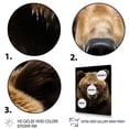thumbnail image 3 of Designart "Majestic Bear s Self-Portrait II" Animals Floater Framed Canvas Print, 3 of 7