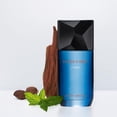 thumbnail image 4 of Issey Miyake Fusion D'Issey Extreme Eau de Toilette pour Lui 100 ml, 4 of 6