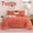 Orange, variant on 7pcs Comforter Set Queen Size Orange - Bed In A Bag Set, Bedding Sets With Box Stitches All Season Quilted Comforter