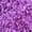 Purple, variant on One Pack Solid Pastel Fuzzy Lounge Socks With Tiny Bow Decoration, Stretch Comfort Cuff Hosiery, Heat Lock Socks for All Day Home Relaxation Purple