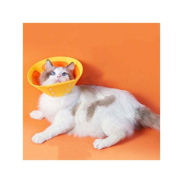 1pc Pet Donut Collar, Orange Collar, Elizabethian Collar, Beauty Sheild, Bite-proof Harness For Dogs And Cats, Suitable For Large, Medium And Small Do
