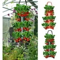 Chunhong 1/2 Pack Upside Down Tomato Planter, Garden Hanging Tomato