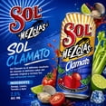 thumbnail image 2 of Cerveza clara Sol mezclas clamato 473 ml, 2 of 4