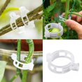 thumbnail image 2 of SDNall 100PC Tomato Clips Supports Connects Plants Vines Cages Clear Oval, 2 of 9
