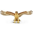 thumbnail image 5 of Safari Ltd. Red-Tailed Hawk Figurine - Realistic 5.75" Wingspan Figure - Educational Toy for Boys, Girls, & Kids Ages 3+, 5 of 6