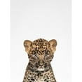 thumbnail image 3 of Tai Prints 19x24 Black Modern Framed Museum Art Print Titled - Leopard, 3 of 5