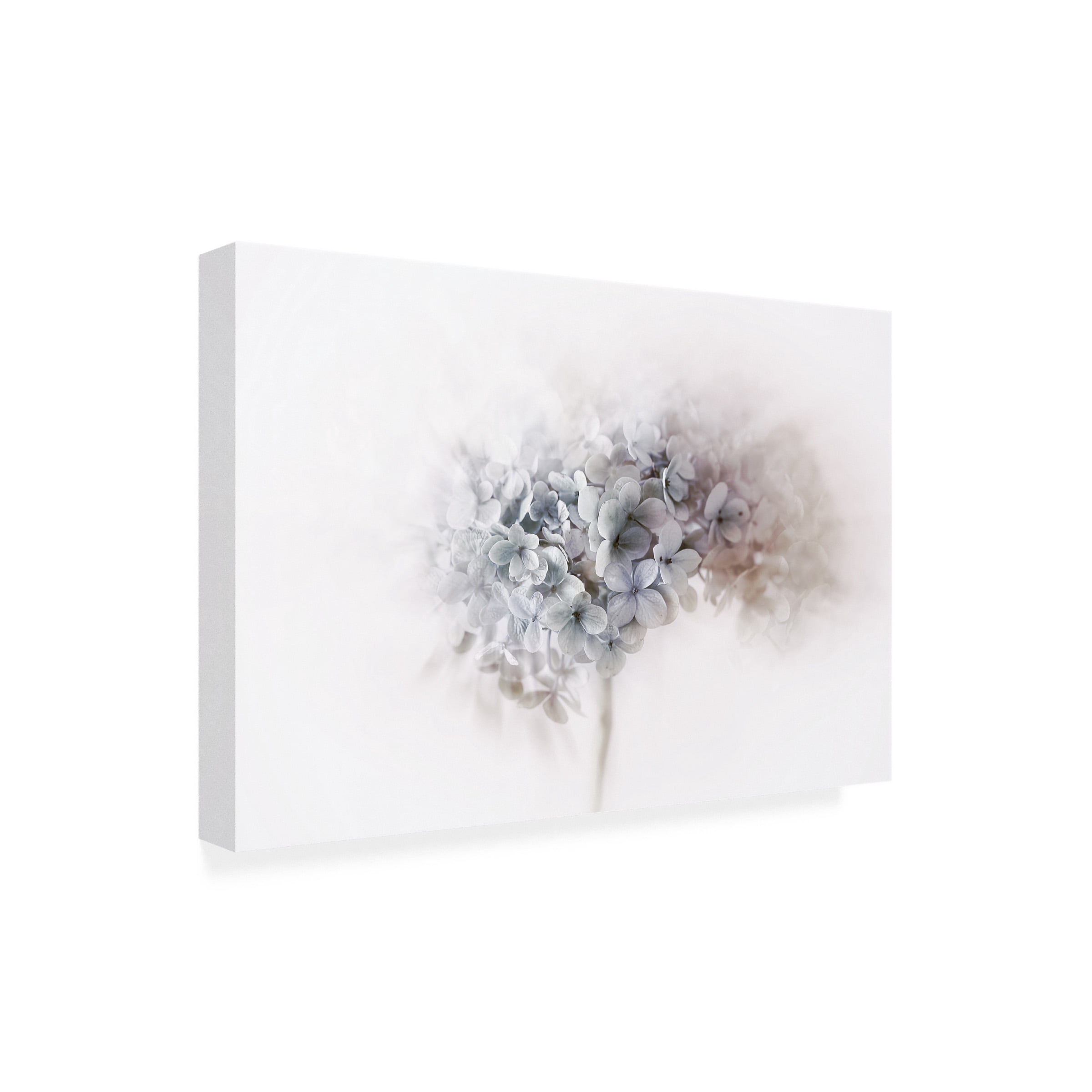 Ellen Van Deelen 'Hydrangea' Canvas Art