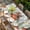 LightGrey, variant on Spring Mushrooms Table Cloths for 5 Foot Rectangle Tables, Farmhouse Pastoral Botanical Rustic Patio Waterproof Elastic Fitted Tablecloths, Washable Rectangular Table Cover for Camping