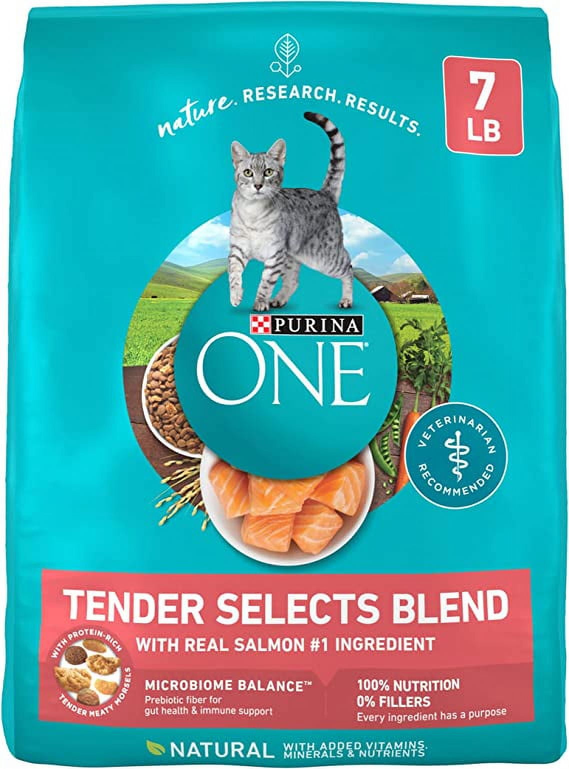 Purina ONE Plus Hairball Formula Dry Cat Food Chicken 16 lb Bag Walmart