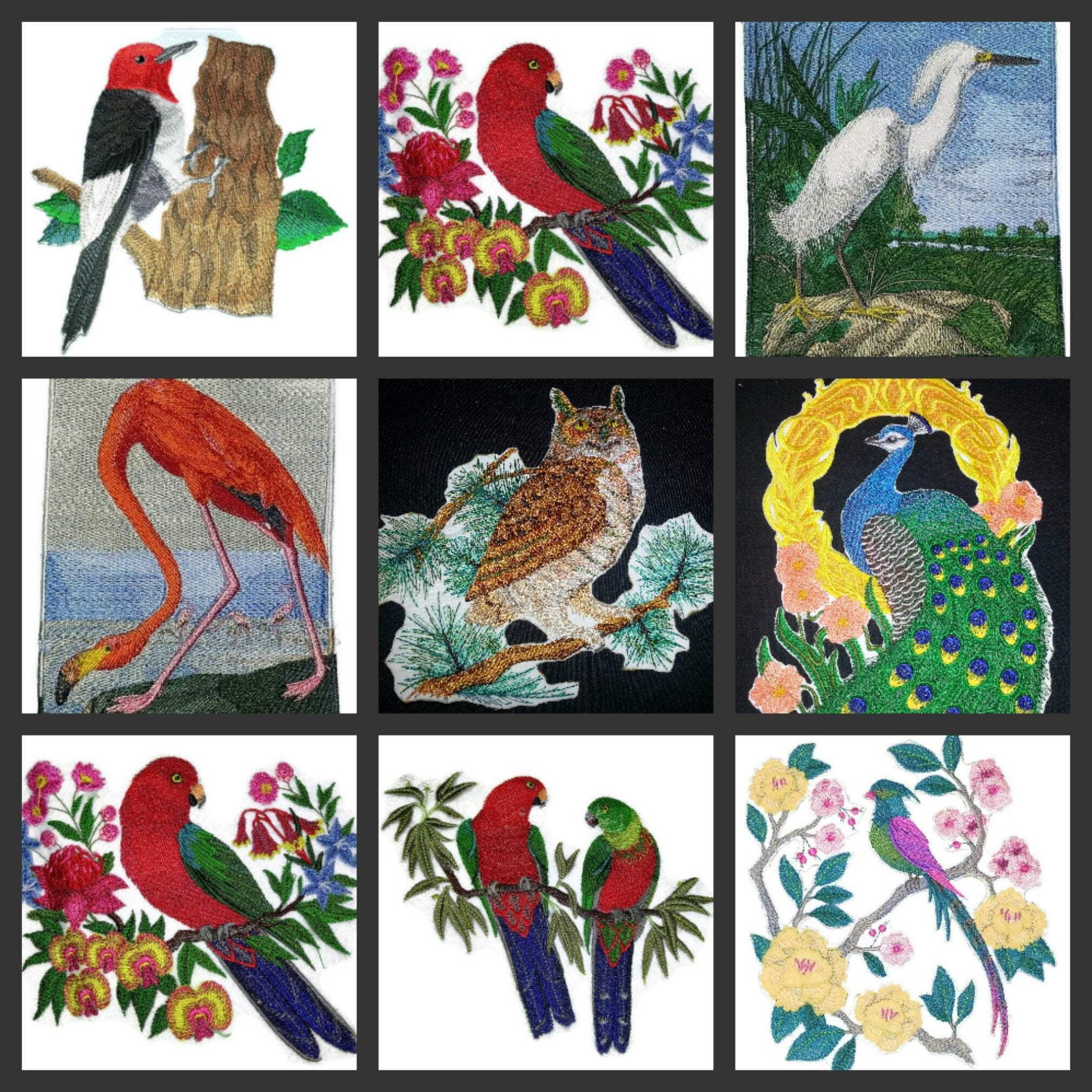 Australian King parrots In Eucalyptus Embroidered Iron on patch [6.6" X 5.9"]