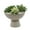 Gray/Beige, variant on Artificial Succulent Mix in Two Tone Gray/Beige Ceramic Bowl Planter