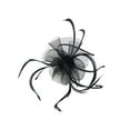 thumbnail image 1 of pitrice 1/2/3/5 Maille Fascinator Femmes Coiffure Prom Maquillage Nuptiale Scène Réglable Performance Photo Coiffe Fille Bande de Cheveux Noir 5PCS, 1 of 6