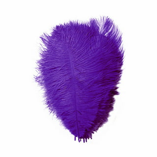 HaiMay 450 Pieces Purple Feathers for Craft Wedding Home Party Decorations,  3-5 Inches Purple Craft Feathers