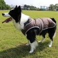 thumbnail image 5 of Reflective Dog Coat for Cold Weather - Polyester Outer, Cotton Quilted Lining, Back Zipper, Bust Split, Rear Leg Elastic, Fits Small/Medium/Large Dogs, Indoor/Outdoor, 5 of 5