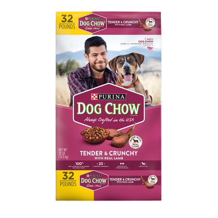Purina Dog Chow Tender & Crunchy with Real Lamb Adult Dry Dog Food - 32 lb. Bag