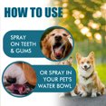 thumbnail image 6 of 5.83x1.50 Inch Fresh Breath Teeth Spray for Dogs Oral Hygiene Dental Care with Natural Mint Extract - Fights Bad Breath Maintains Oral Health, 6 of 9