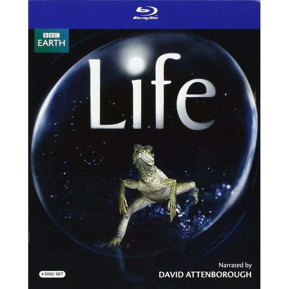LIFE [DVD BOXSET] [4 DISCS] [5051561000553]