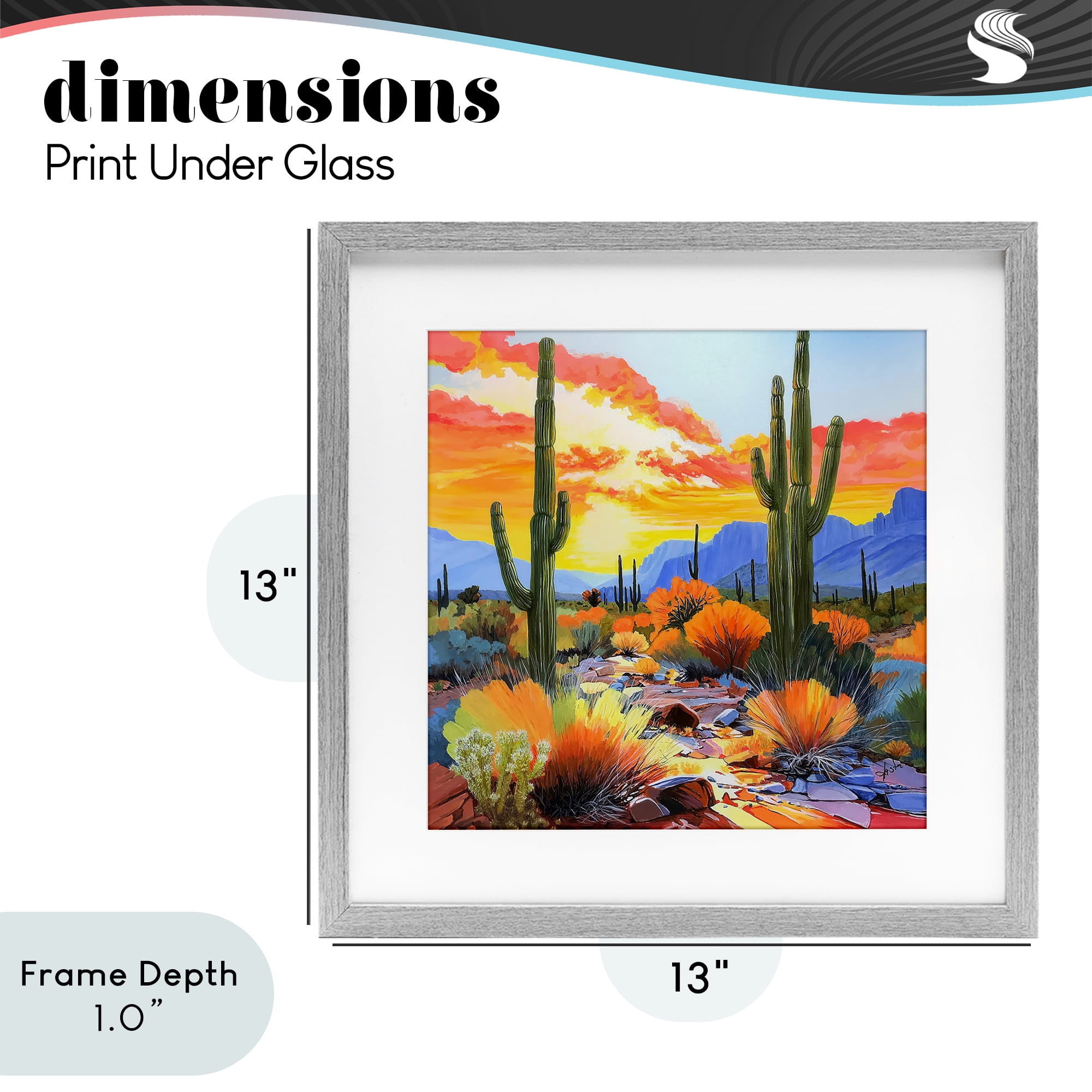 Stupell Industries Desert Splendor Cacti Gray Framed Print Under Glass, design by John Jaster