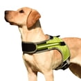 thumbnail image 1 of Labymos Arnés para perros Luz LED Reflectante, 1 of 8