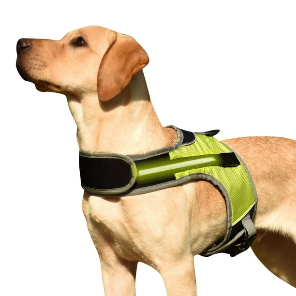 Amdohai Harnais pour chien avec lumière LED réfléchissant, gilet