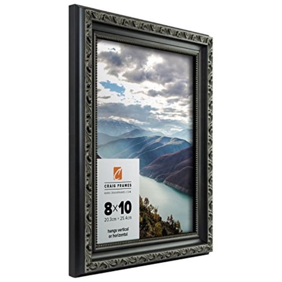 Craig Frames Ancien Ornate, Antique Black Picture Frame, 22 by 28-Inch