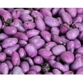 thumbnail image 2 of Purple Yogurt Covered Raisins by It's Delish, 1 lb Bulk  Kosher Dairy-Free Yogurt Covered Fruit for Vegan Snacking  Dried Raisins Coated in Yogurt-Flavored Shell Snack Treats, 2 of 6