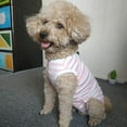 thumbnail image 6 of Recovery Suit for Dogs Cats After Surgery, Professional Pet Recovery Shirt M - shape2, 6 of 6