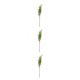 thumbnail image 1 of Bewildely Planta artificial de 5 ramas, planta de bayas de espuma falsa de Navidad, decoración navideña para el hogar y la oficina, verde Verde 3piezas Bewildely CBP166873, 1 of 6