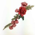 thumbnail image 4 of Vonky 1 paire DIY ROSE FLEURS PATCHES brodées COUCHER AU PATCH Applique pour pantalon Jeans, 4 of 6