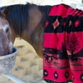 thumbnail image 3 of Denali Home Collection Denali Red Running Horses 60"x72" Microplush Blanket, 3 of 4
