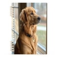 thumbnail image 2 of WOBOGO Golden Retriever Notebook College Horizontal Grid Paper Ink Spill Resistant Water Resistant Cover 8.3x5.7x0.4in, 2 of 8