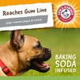 thumbnail image 4 of Juguete para Perro Arm & Hammer Mini Cocodrilo 5.2 Pulgadas, 4 of 7