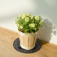 thumbnail image 2 of 4Pieces Plant Level Pot Elevator-20cm Diameter Big Plant Stands ,Heavy Planter Holder Potted Plant Stand for Deck or Patio, 2 of 5