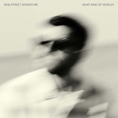 New Street Adventure - What Kind of World? - Music & Performance - Vinyl