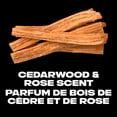 thumbnail image 3 of AXE Atomiseur Corporel Désodorisant Sans Aluminium Planche à Roulettes et Roses Fraîches, 113 g, 3 of 6