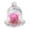 PK, variant on EGNMCR Preserved Roses Flower In Glass Romantic Gift Eternal Rose