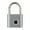Silver, variant on Waterproof Fingerprint Lock Keyless Anti-Theft Smart Padlock Zinc Alloy Safety Electronic Door Locks