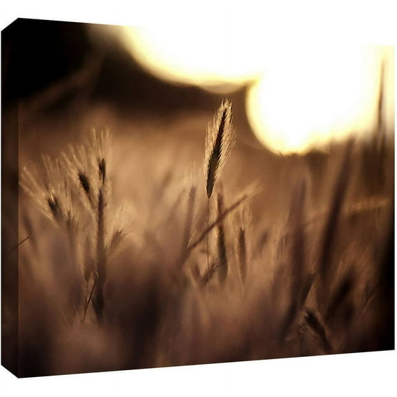 Dean Uhlinger "Summer Field" Gallery-Wrapped Canvas
