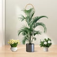 thumbnail image 5 of 3ft Natural U-Hoops Bamboo Trellis U-Shaped Garden Trellis for Climbing Plants, Vines, Ivy, Flowers, and Potted Plants 3pcs, 5 of 9