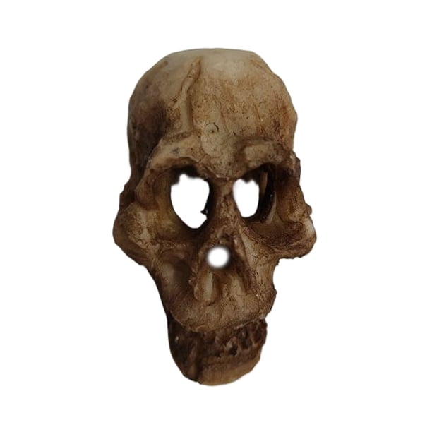 Toystoory Acuario decoración paisajismo cabeza hueso cueva ornamento acuático Artificial decorativo pecera reptil caja Prop reutilizable Kits de decoración para fiestas