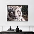thumbnail image 1 of White Bengal tiger at the Montgomery Zoo, it was established in 1920 as part of Oak Park | Carol M. Highsmith | Premium Fine Art Print | 21th Century American | Photography | Portrait | Nature Art, 1 of 7