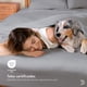 thumbnail image 2 of Juego de Sábanas de Bambú Dreamlab, Ropa de Cama Ultra Suave, Fresca, Hipoalergénica, Ecológica, Sábanas King Size de Bambú, Color Gris, 2 of 10