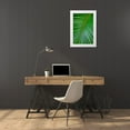 thumbnail image 3 of Engelbrecht, Lisa S. 11x14 White Modern Wood Framed Museum Art Print Titled - Palm fronds, 3 of 4
